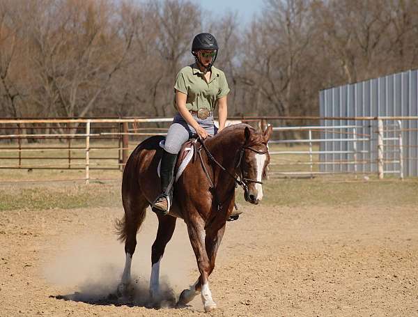 ranch-work-quarter-horse
