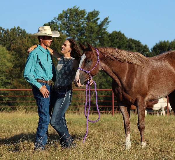 trail-riding-quarter-horse