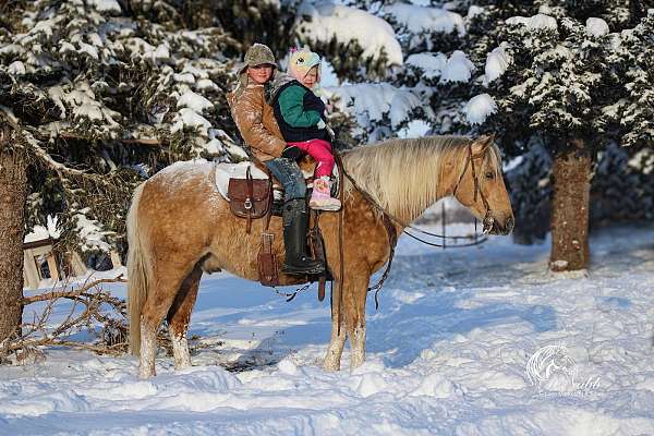 roping-quarter-pony