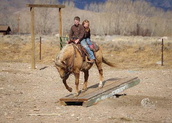 show-hack-quarter-pony