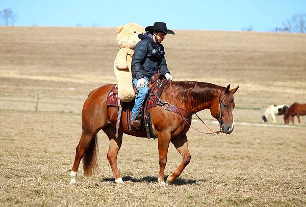 ranch-quarter-horse