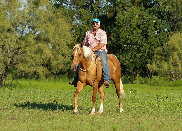flashy-quarter-horse