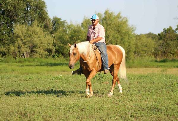 ranch-quarter-horse