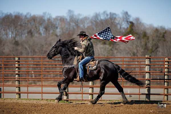 jumping-friesian-horse