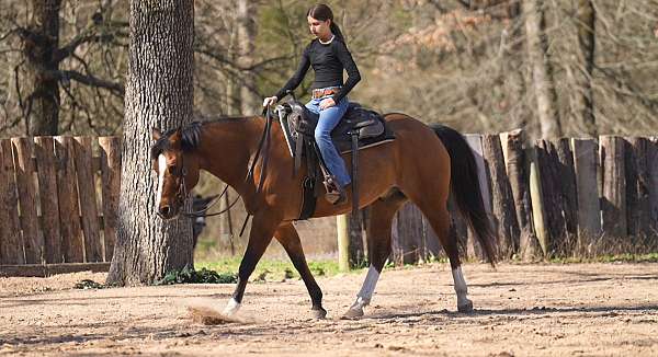all-around-quarter-pony