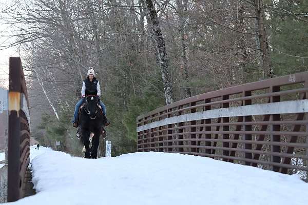 man-draft-horse