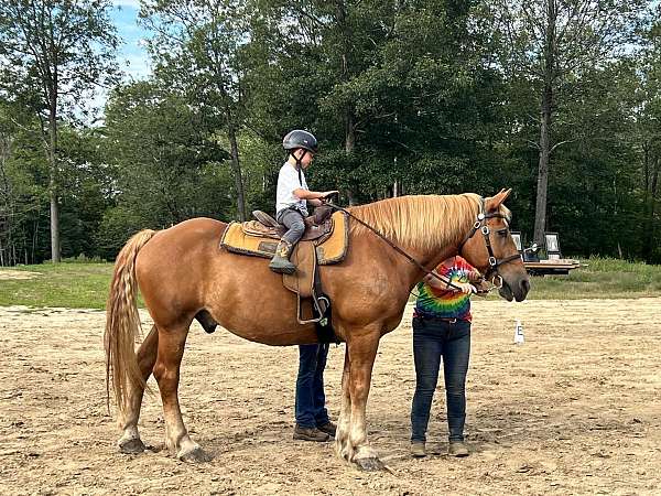 star-strip-connected-horse