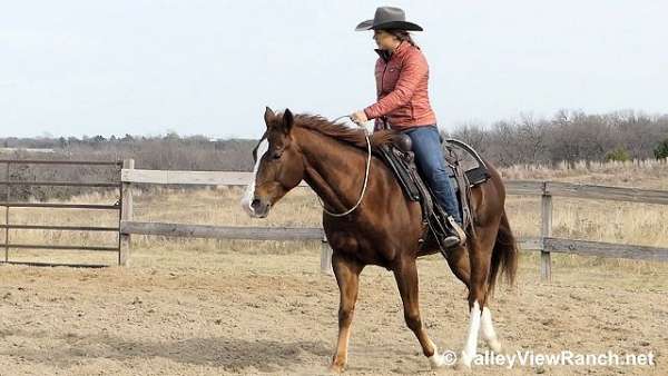 horsemanship-quarter-horse