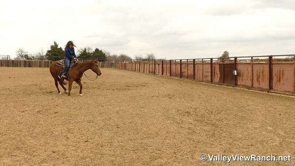 cutting-quarter-horse