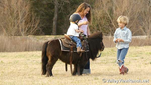 all-around-pony