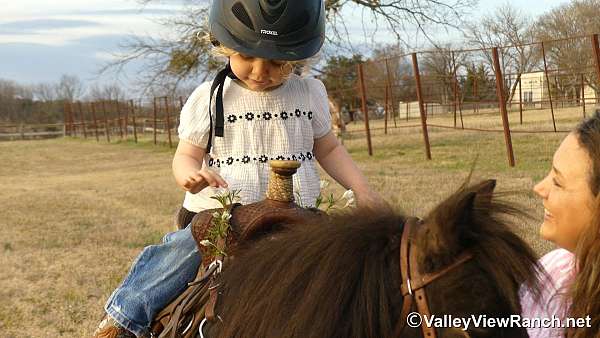 kid-safe-pony