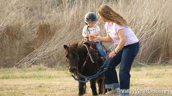 playday-pony