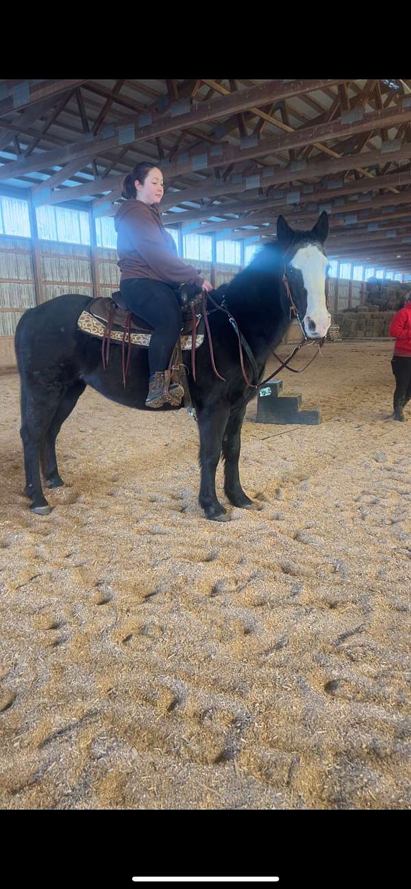 black-blaze-horse