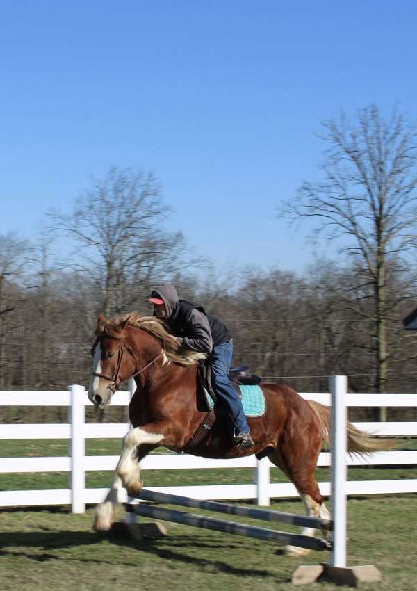 sorrel-white-tobiano-horse