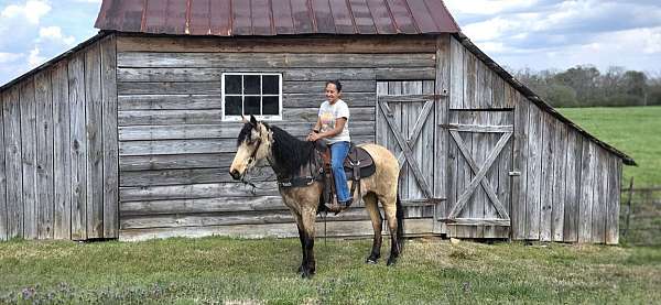 husband-safe-horse-tennessee-walking