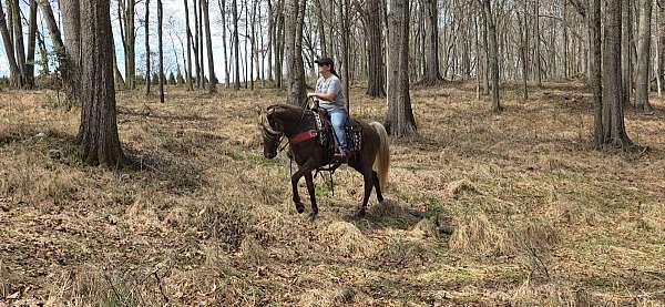 husband-safe-horse-rocky-mountain