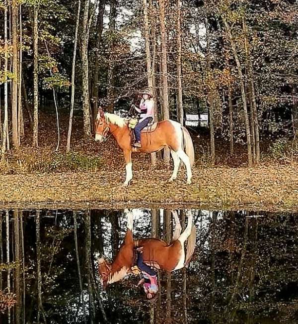 white-stockings-hip-horse