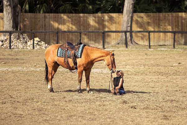 flashy-draft-horse