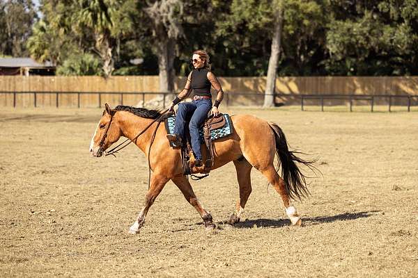 jumping-draft-horse