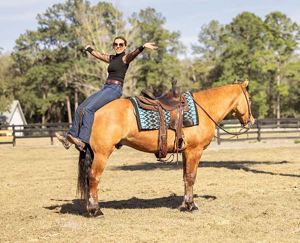 kid-safe-draft-horse