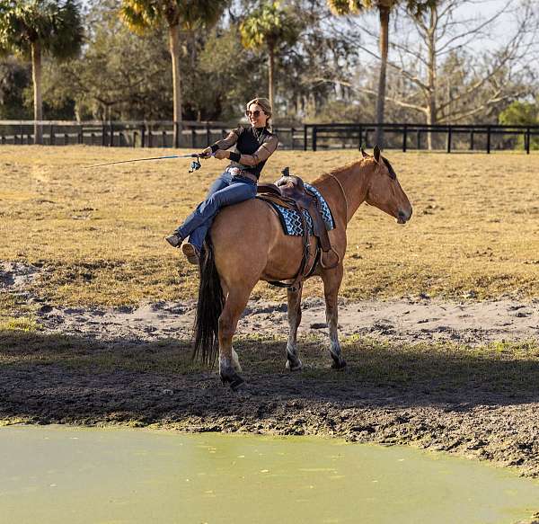 ranch-draft-horse