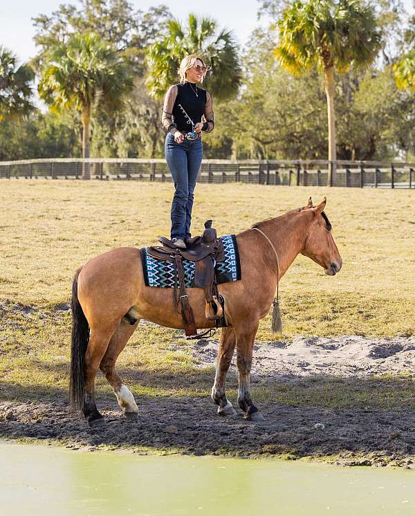 ranch-work-draft-horse