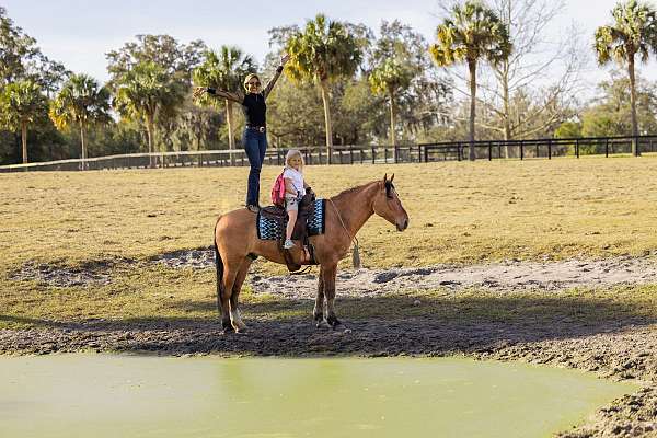 ridden-english-draft-horse