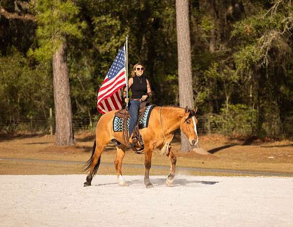 ridden-western-draft-horse