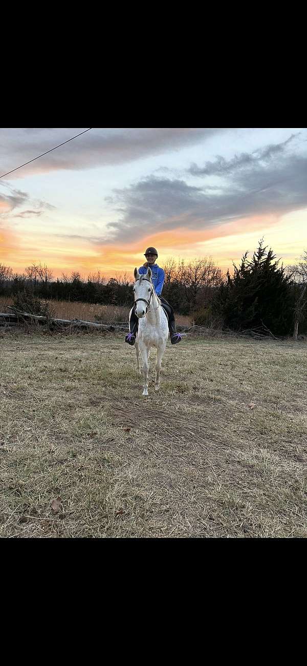 thoroughbred-horse