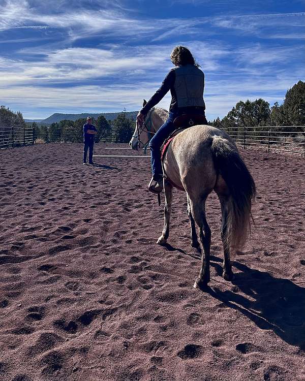 arena-work-marchador-horse