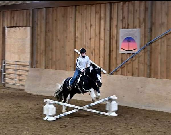 black-blackwhite-horse