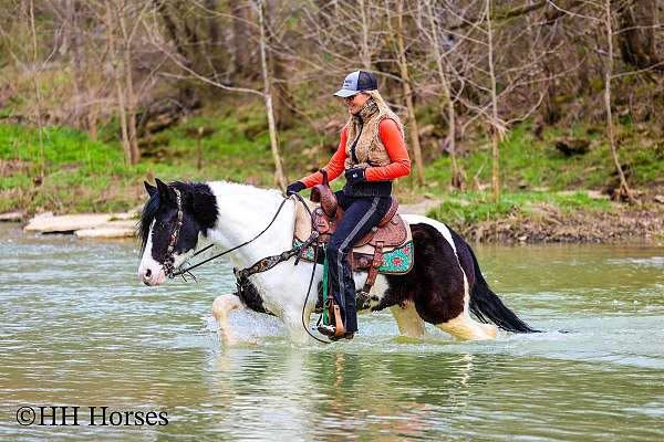 tobiano-trail-cl-pony