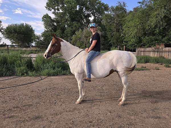 ranch-work-pinto-pony