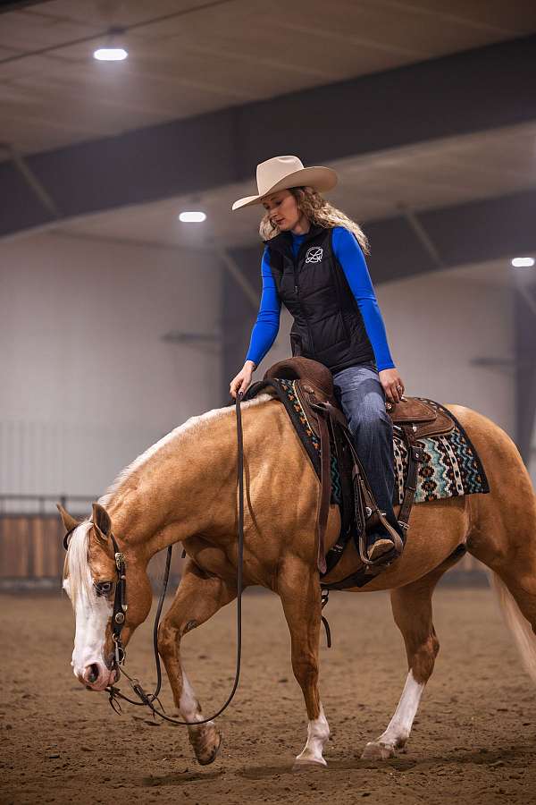 athletic-quarter-horse