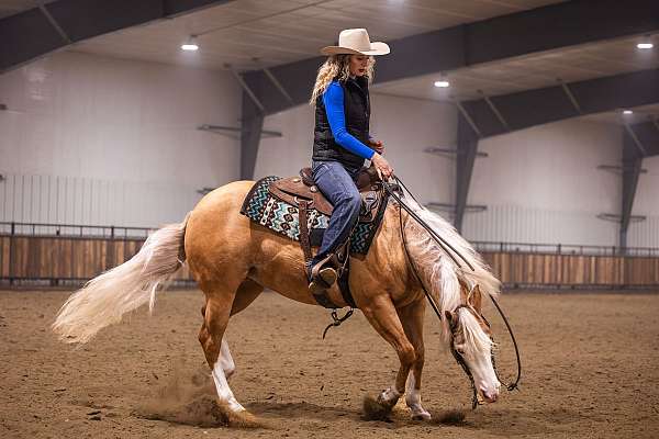 ranch-quarter-horse