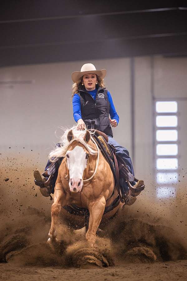 ranch-work-quarter-horse
