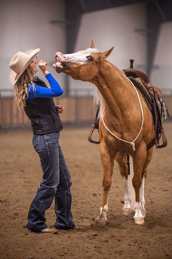 roping-quarter-horse
