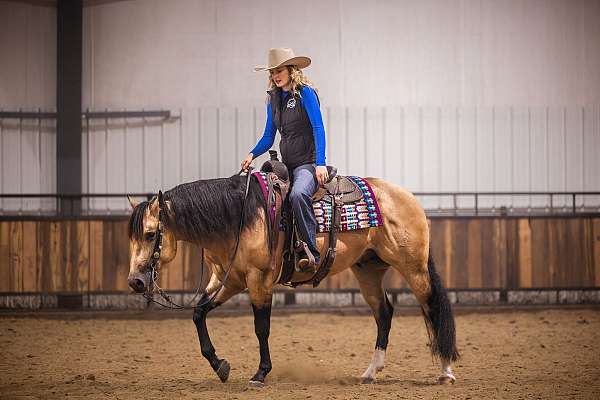 heading-quarter-horse