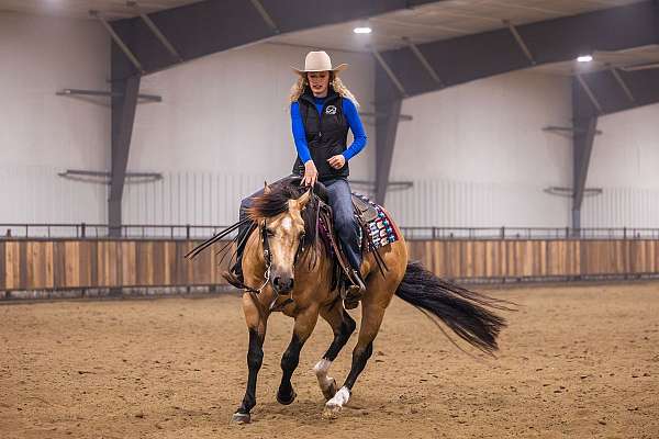 heel-quarter-horse