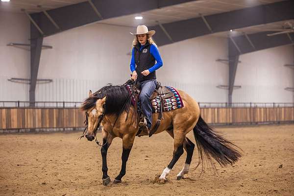 performance-quarter-horse