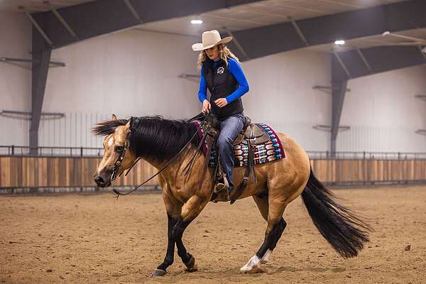 ranch-quarter-horse