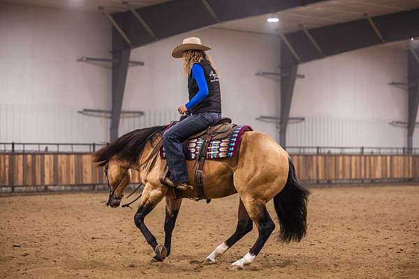 ranch-versatility-quarter-horse