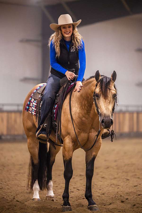 ranch-work-quarter-horse
