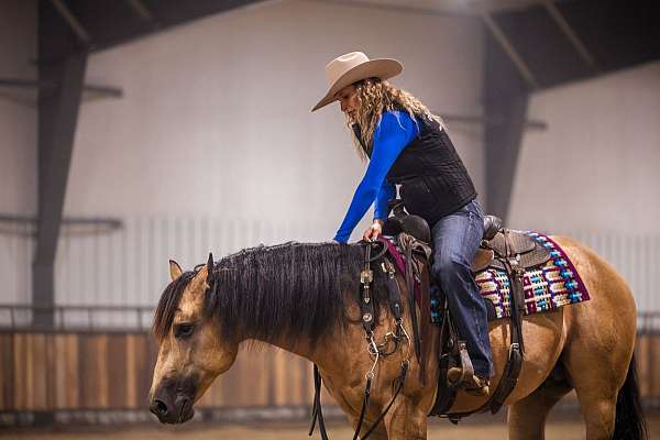 roping-quarter-horse
