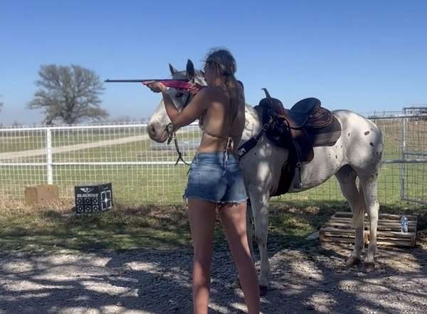 native-costume-appaloosa-pony
