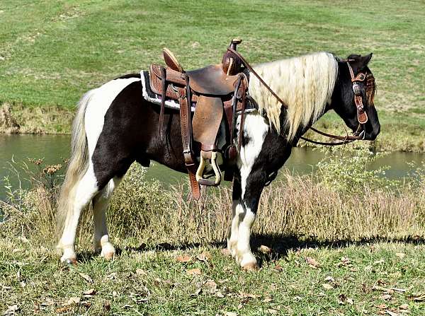 minipaintpony-paint-pony