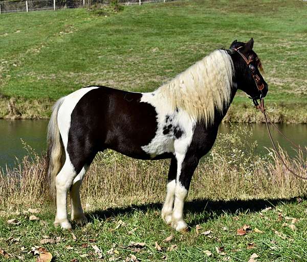 playdaypony-paint-pony