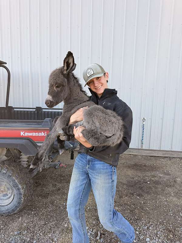 twilight-farms-weanling