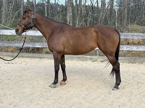no-alley-issues-mare