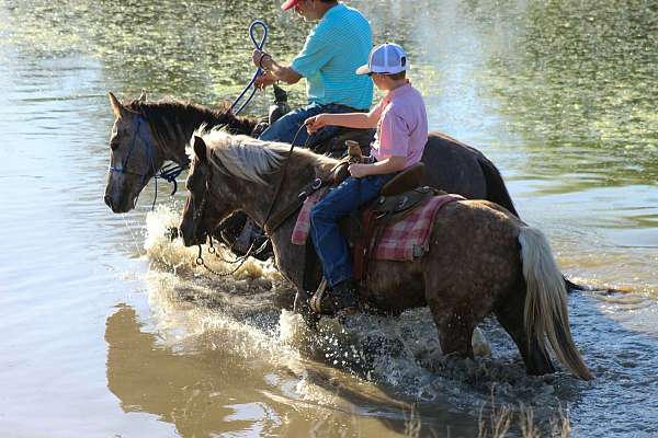all-around-pony